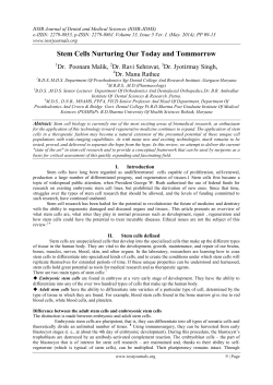 Stem Cells Nurturing Our Today and Tommorrow