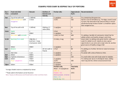 Example Food Diary and Portion Sizes Tally File
