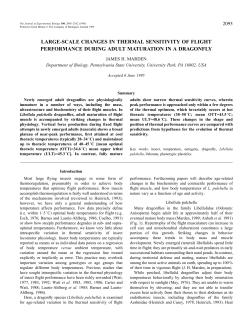 large-scale changes in thermal sensitivity of flight performance