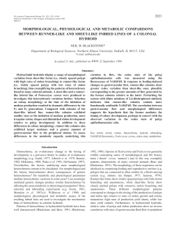 morphological, physiological and metabolic comparisons between