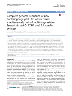 Complete genome sequence of new bacteriophage phiE142, which