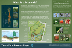 Different plants and animals like different growing conditions