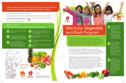Manitoba Vegetable and Fruit Program Leaflet 2013