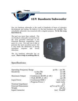12&pi; hornsub flyer