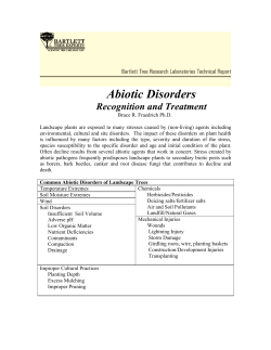 Abiotic Disorders - Bartlett Tree Experts