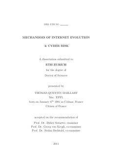 Mechanisms of Internet Evolution and Cyber Risks, PhD thesis at