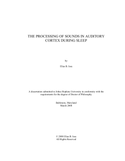 THE PROCESSING OF SOUNDS IN AUDITORY CORTEX DURING