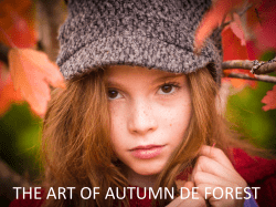 THE ART OF AUTUMN DE FOREST