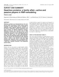 Dead-box proteins: a family affair&mdash;active and passive players in
