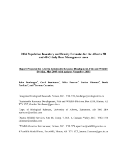 Population estimate for the Alberta 3B and 4B Grizzly Bear