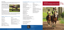 The Cost of Keeping a Horse or Pony
