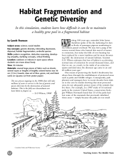 Habitat Fragmentation and Genetic Diversity