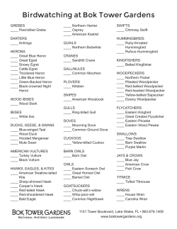 Bok Tower Gardens Bird Checklist