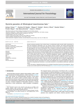 Nycteria parasites of Afrotropical insectivorous bats