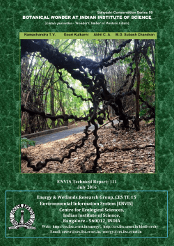 otanical wonder @ IISC