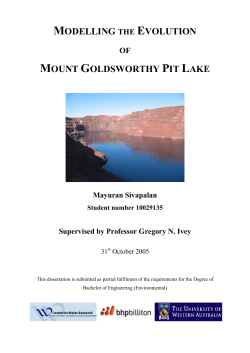 modelling the evolution mount goldsworthy pit lake