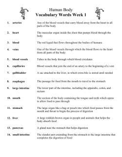 Human Body Vocabulary Words Week 1