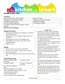 Pumpkin Spice Cake - Paulsen Appliance