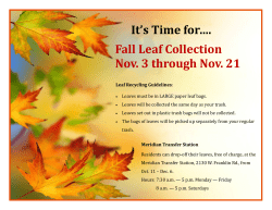 It`s Time for&hellip;. Fall Leaf Collection Nov. 3 through