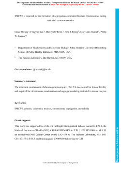 SMC5/6 is required for the formation of segregation