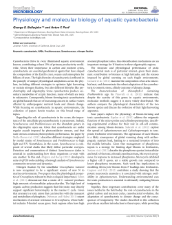 Physiology and molecular biology of aquatic cyanobacteria