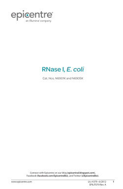 Protocol for RNase I, E. coli