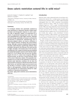 Does caloric restriction extend life in wild mice?