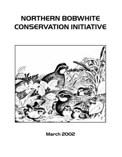 THE NORTHERN BOBWHITE CONSERVATION INITIATIVE