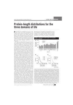 Protein-length distributions for the three domains of life