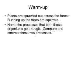 Comparing cellular respiration to photosynthesis