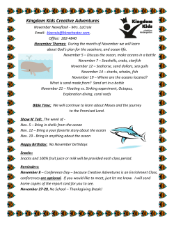 Kingdom Kids Preschool