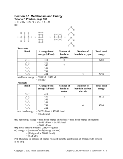 Section 3.1: Metabolism and Energy