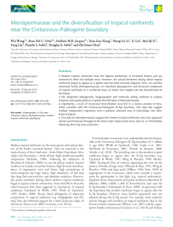 Menispermaceae and the diversification of tropical rainforests near