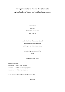 Soil organic matter in riverine floodplain soils