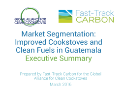 Market Segmentation: Improved Cookstoves and Clean Fuels in