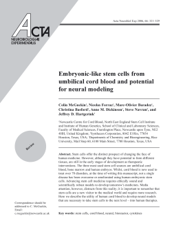 Embryonic-like stem cells from umbilical cord blood and potential for