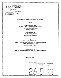 GEOLOGICAL AND GEOCHEMICAL REPORT on the TENAKIHI
