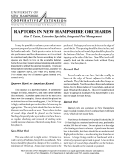 Raptors in New Hampshire Orchards