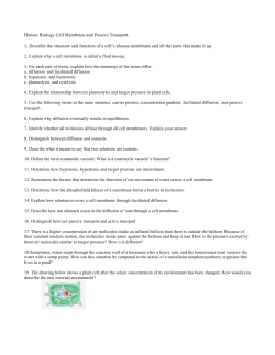 Honors Biology Cell Membrane and Passive Transport: 1. Describe