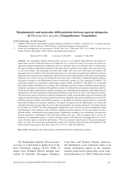 Morphometric and molecular differentiation between quetzal