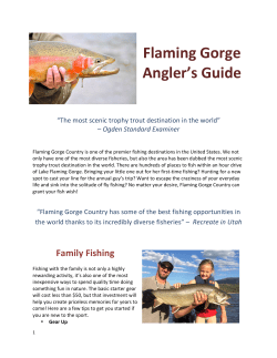 Anglers Guide to Flaming Gorge