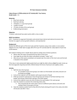 PLT Stem Extension Activities Celery Straws