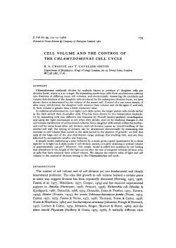 cell volume and the control of the chlamydomonas cell cycle
