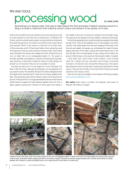 processing wood by Jesse Jones