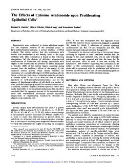 The Effects of Cytosine Arabinoside upon