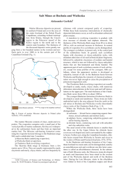 Salt Mines at Bochnia and Wie