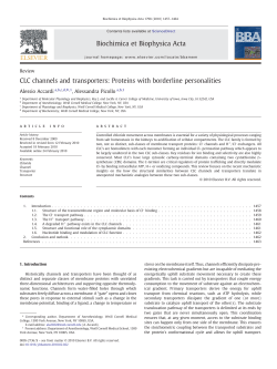 CLC channels and transporters: Proteins with borderline personalities