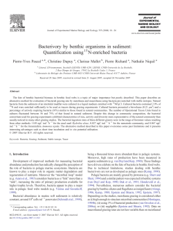 Bacterivory by benthic organisms in sediment