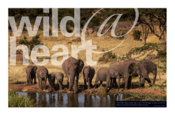 The Four Seasons Serengeti