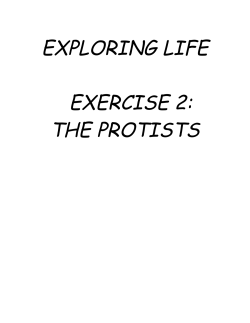 the protists